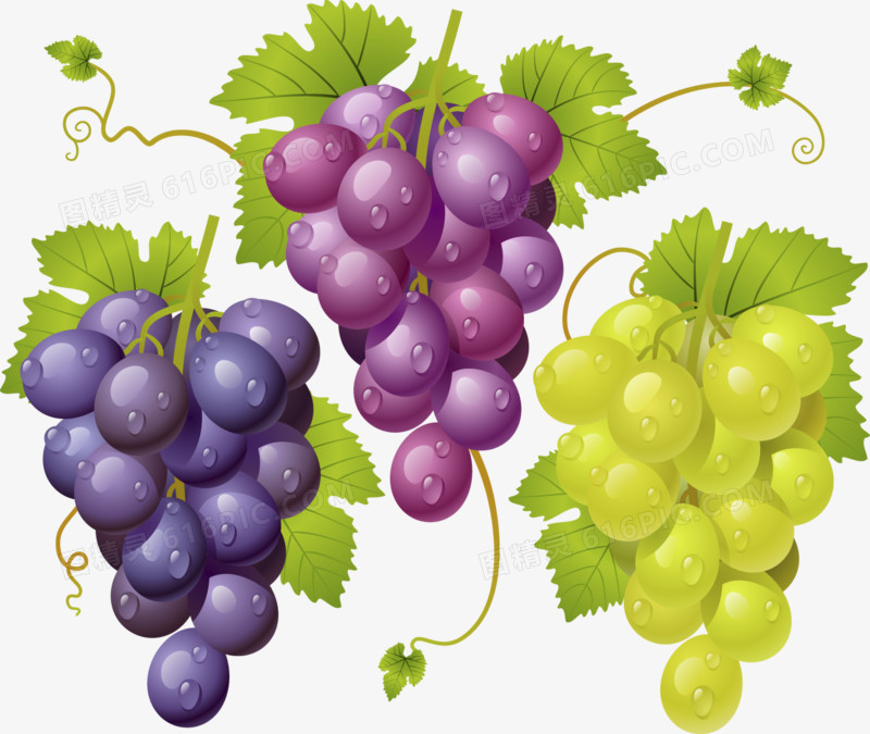 2025 Guide to Resveratrol for Skin Health